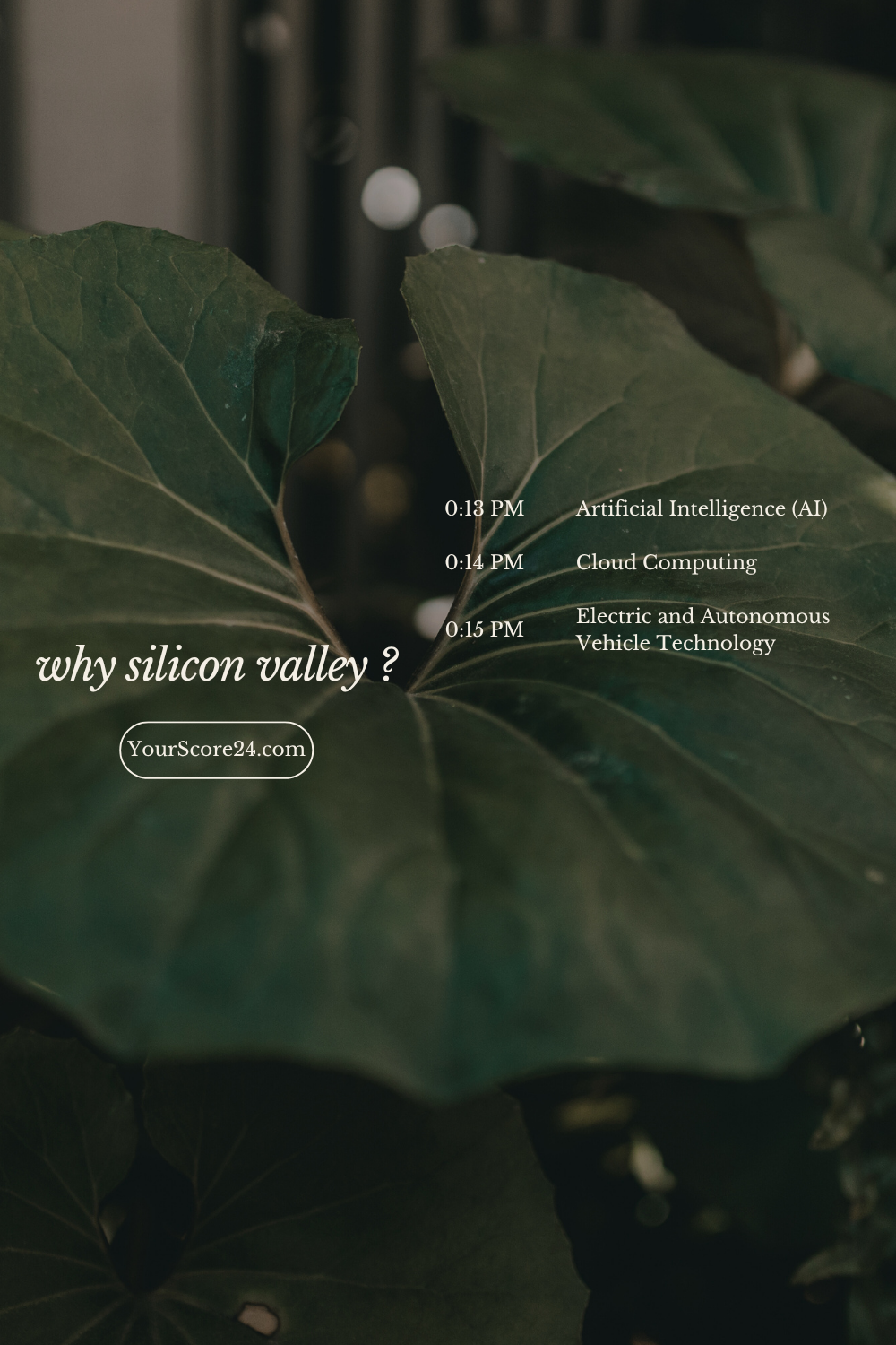 Silicon Valley